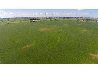 Property photo 33 - PRIME FARMLAND AUCTION - 716+/- ACRES OFFERED IN 8 TRACTS IN CASS & CARROLL COUNTIES